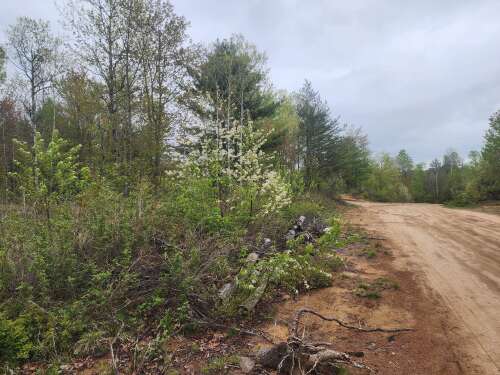 6, Rhéal-Sicard, chemin, Kazabazua